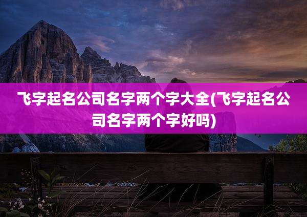 飞字起名公司名字两个字大全(飞字起名公司名字两个字好吗)
