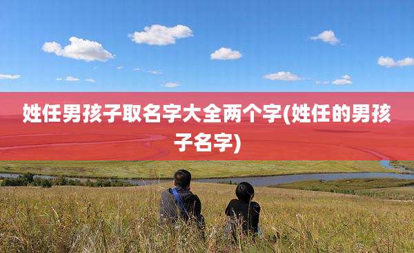 姓任男孩子取名字大全两个字(姓任的男孩子名字)
