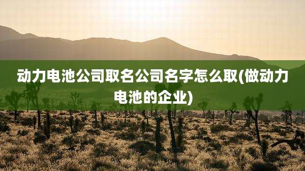 动力电池公司取名公司名字怎么取(做动力电池的企业)