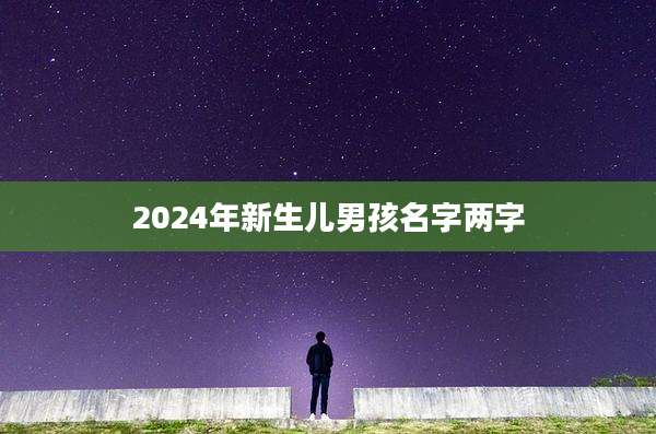 2024年新生儿男孩名字两字