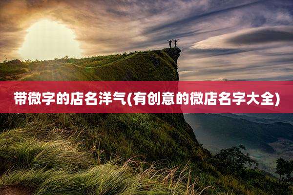 带微字的店名洋气(有创意的微店名字大全)