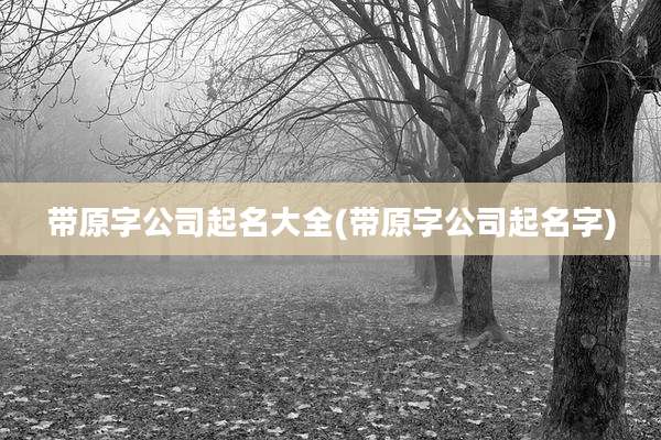 带原字公司起名大全(带原字公司起名字)
