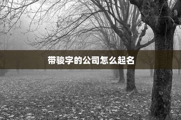 带骏字的公司怎么起名