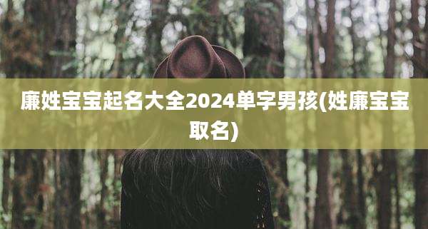 廉姓宝宝起名大全2024单字男孩(姓廉宝宝取名)