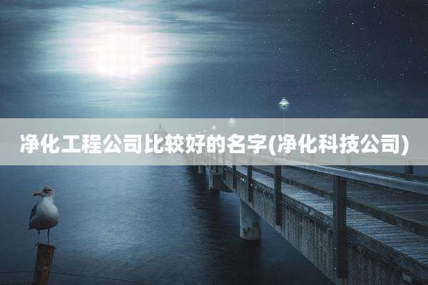 净化工程公司比较好的名字(净化科技公司)