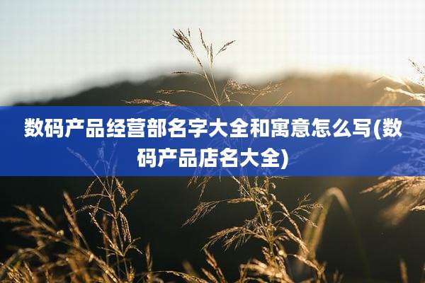 数码产品经营部名字大全和寓意怎么写(数码产品店名大全)
