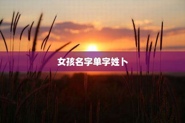 女孩名字单字姓卜