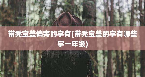 带秃宝盖偏旁的字有(带秃宝盖的字有哪些字一年级)