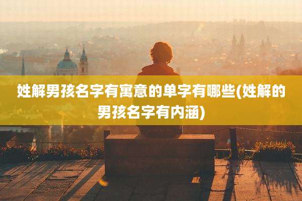 姓解男孩名字有寓意的单字有哪些(姓解的男孩名字有内涵)