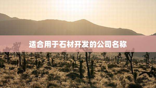 适合用于石材开发的公司名称