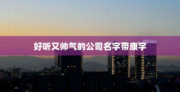 好听又帅气的公司名字带康字