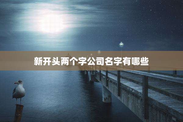 新开头两个字公司名字有哪些