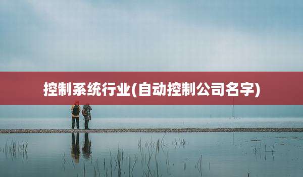 控制系统行业(自动控制公司名字)