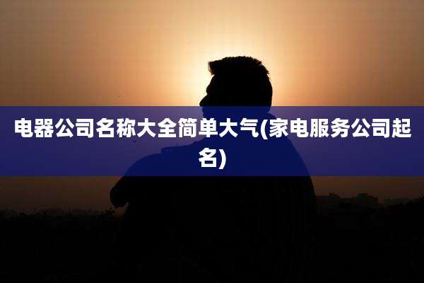 电器公司名称大全简单大气(家电服务公司起名)