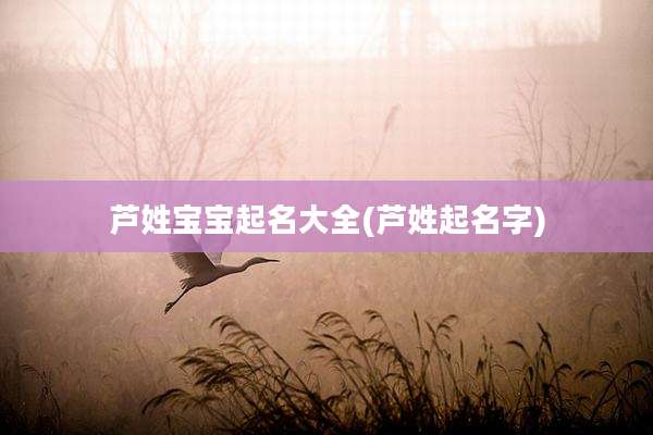 芦姓宝宝起名大全(芦姓起名字)