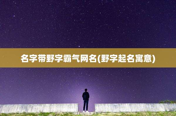 名字带野字霸气网名(野字起名寓意)