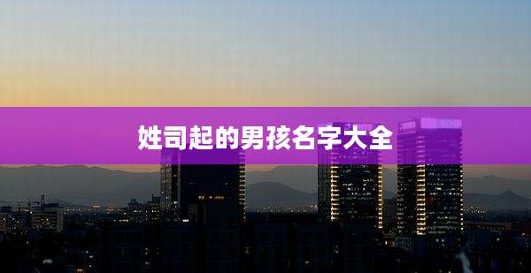 姓司起的男孩名字大全