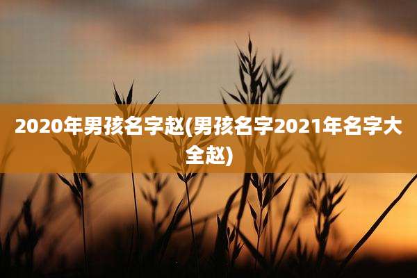 2020年男孩名字赵(男孩名字2021年名字大全赵)