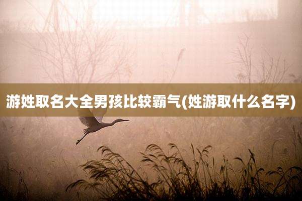 游姓取名大全男孩比较霸气(姓游取什么名字)