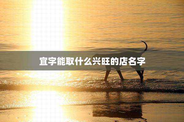 宜字能取什么兴旺的店名字