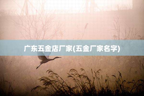 广东五金店厂家(五金厂家名字)