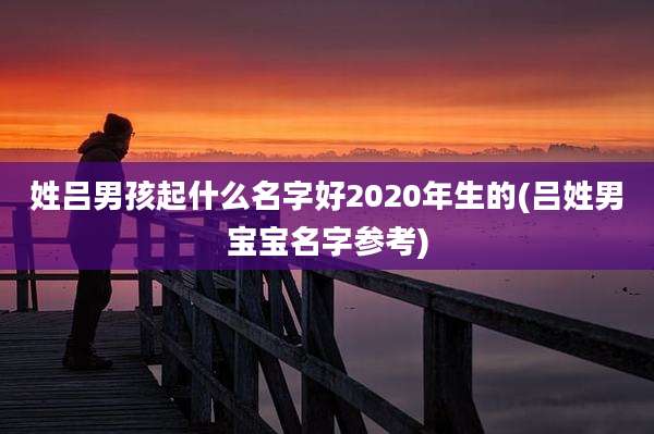 姓吕男孩起什么名字好2020年生的(吕姓男宝宝名字参考)