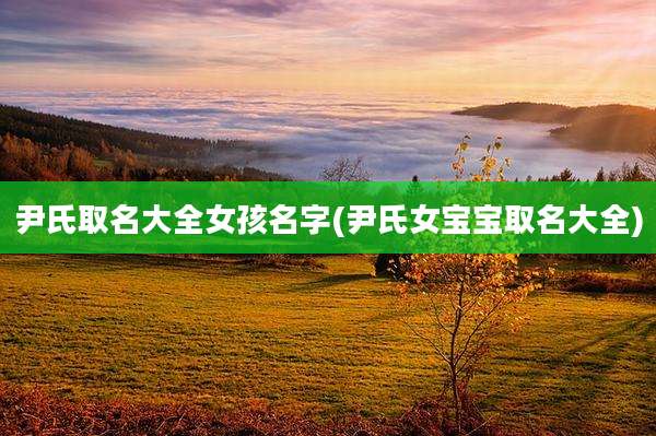 尹氏取名大全女孩名字(尹氏女宝宝取名大全)