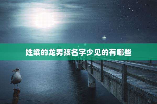 姓粱的龙男孩名字少见的有哪些