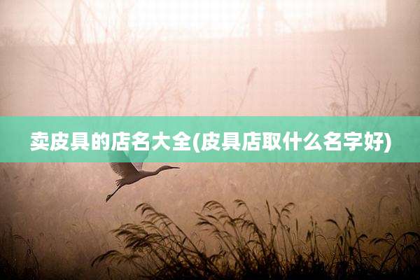 卖皮具的店名大全(皮具店取什么名字好)