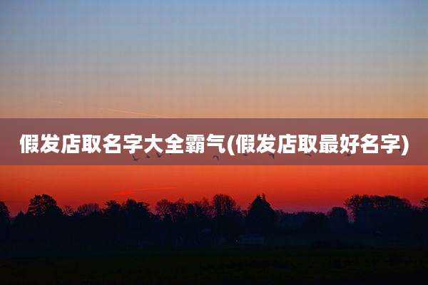 假发店取名字大全霸气(假发店取最好名字)