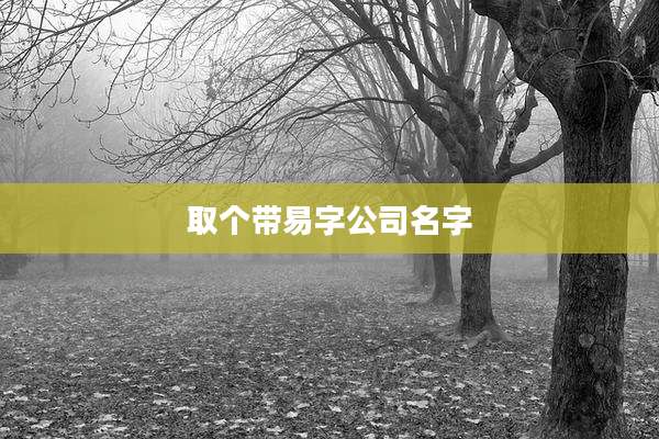 取个带易字公司名字