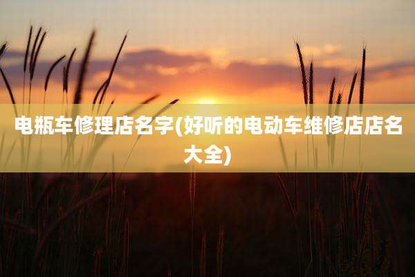 电瓶车修理店名字(好听的电动车维修店店名大全)