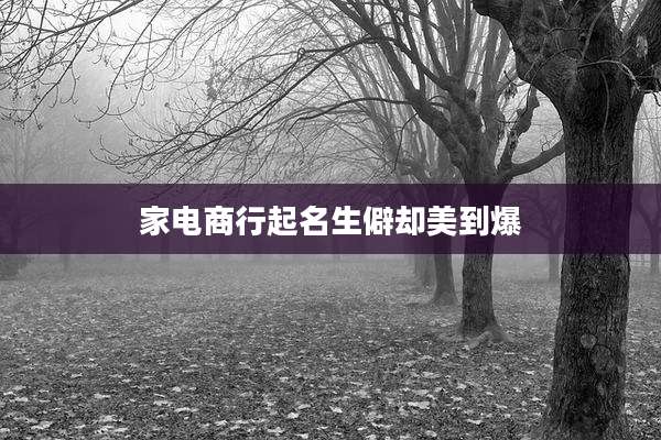 家电商行起名生僻却美到爆