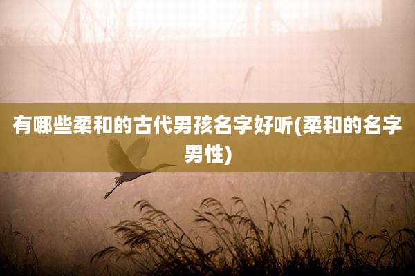 有哪些柔和的古代男孩名字好听(柔和的名字男性)
