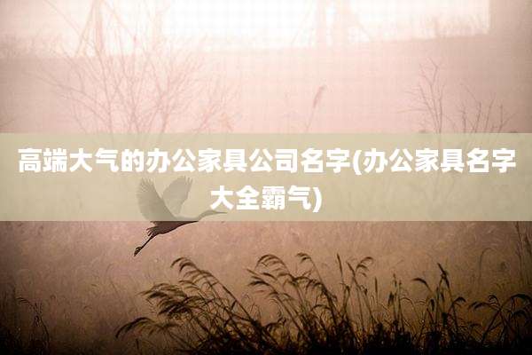 高端大气的办公家具公司名字(办公家具名字大全霸气)