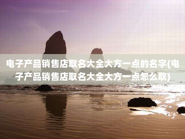 电子产品销售店取名大全大方一点的名字(电子产品销售店取名大全大方一点怎么取)