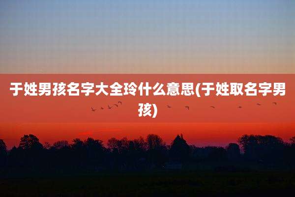 于姓男孩名字大全玲什么意思(于姓取名字男孩)