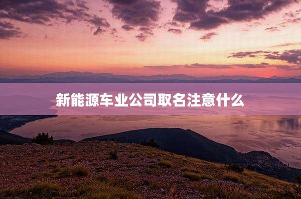 新能源车业公司取名注意什么