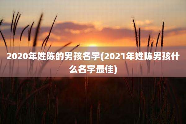 2020年姓陈的男孩名字(2021年姓陈男孩什么名字最佳)