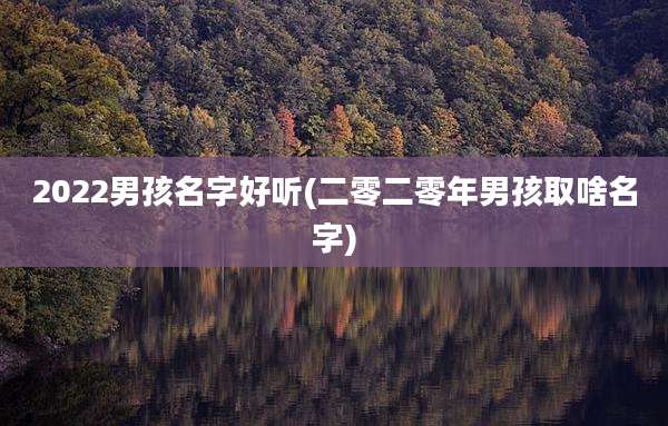 2022男孩名字好听(二零二零年男孩取啥名字)