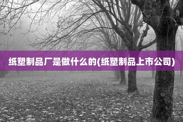 纸塑制品厂是做什么的(纸塑制品上市公司)