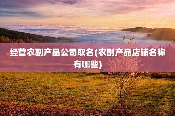 经营农副产品公司取名(农副产品店铺名称有哪些)