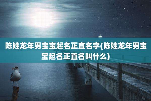 陈姓龙年男宝宝起名正直名字(陈姓龙年男宝宝起名正直名叫什么)