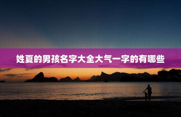 姓夏的男孩名字大全大气一字的有哪些