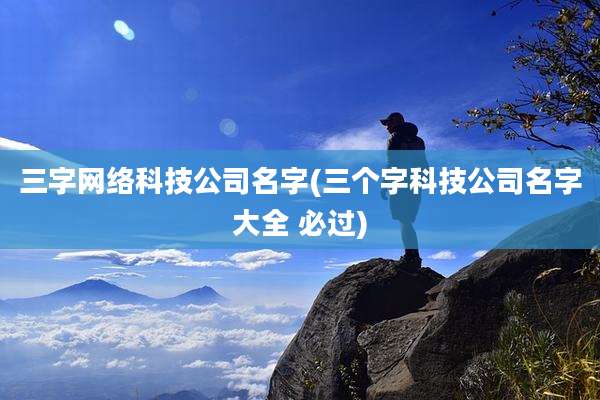 三字网络科技公司名字(三个字科技公司名字大全 必过)