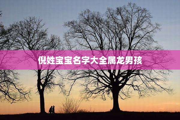 倪姓宝宝名字大全属龙男孩