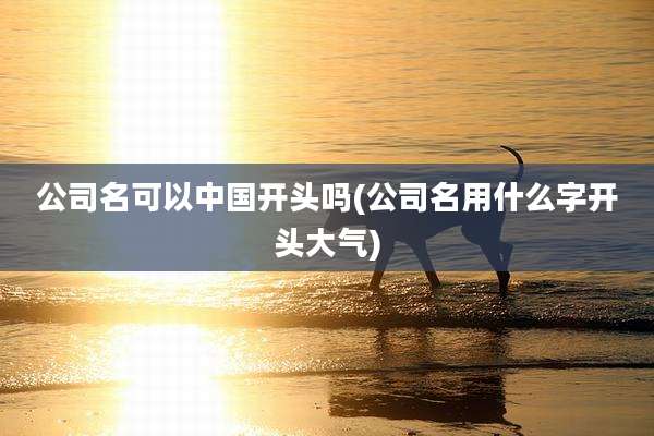 公司名可以中国开头吗(公司名用什么字开头大气)