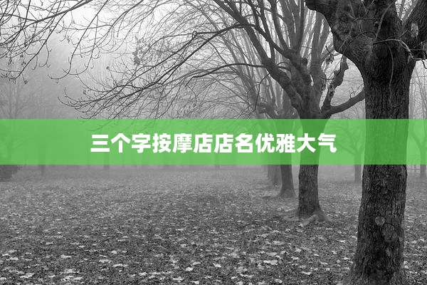 三个字按摩店店名优雅大气