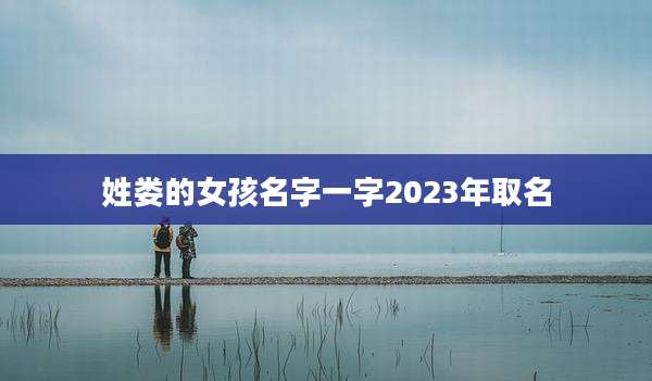 姓娄的女孩名字一字2023年取名