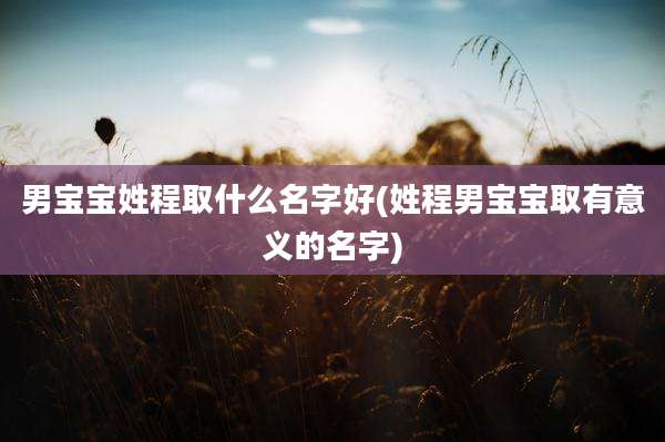 男宝宝姓程取什么名字好(姓程男宝宝取有意义的名字)